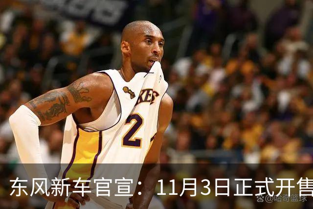 东风新车官宣：11月3日正式开售，纯电续航600km