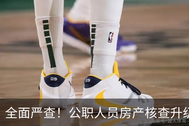 全面严查！公职人员房产核查升级，大数据溯源没有侥幸空间