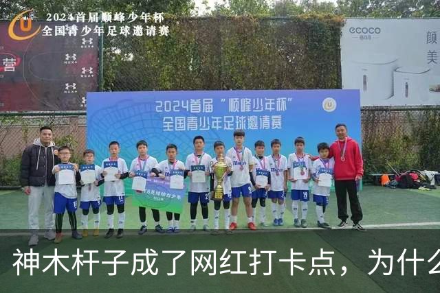 神木杆子成了网红打卡点，为什么要围起来？